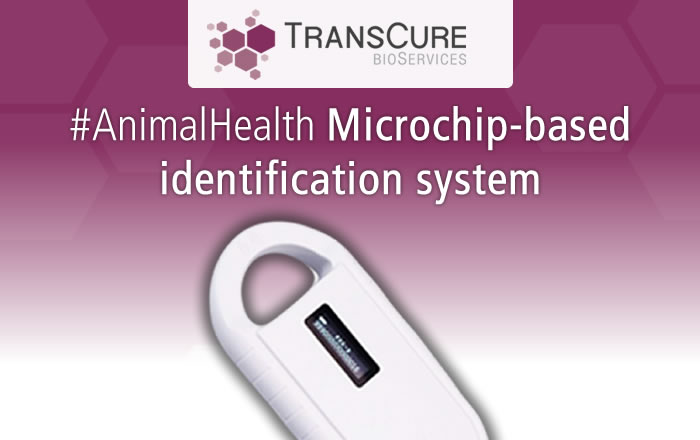 TransCure - Improving Animal Health with microchip-based identification system