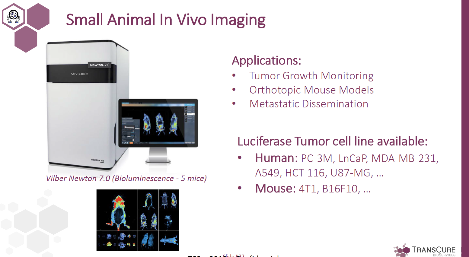 in vivo imaging