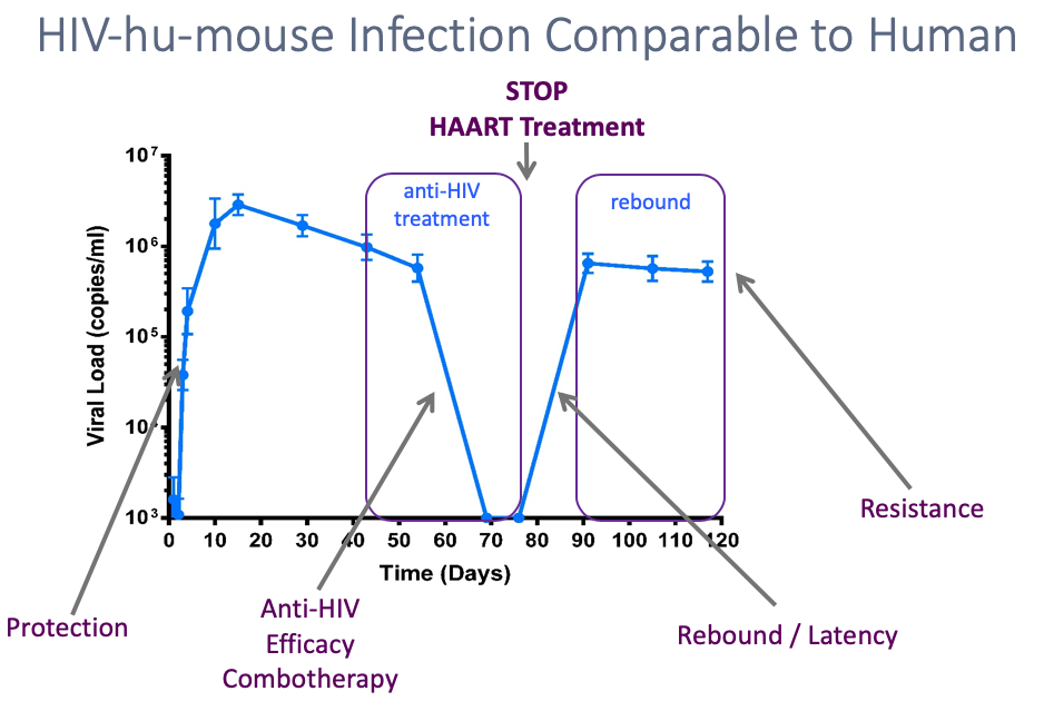 Infectious Disease Mouse Models HIV HBV