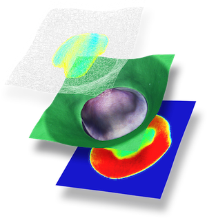 3D Imaging Example