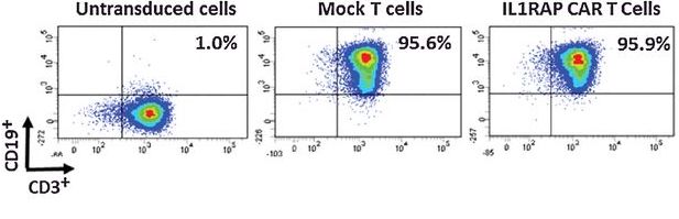 CML Hematopoietic Stem Cells Expressing IL1RAP