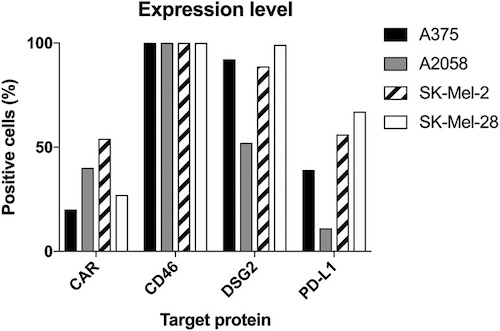 Expression of CAR, CD46, Desmoglein-2 and PD-L1 in human melanoma cells measured by flow cytometry