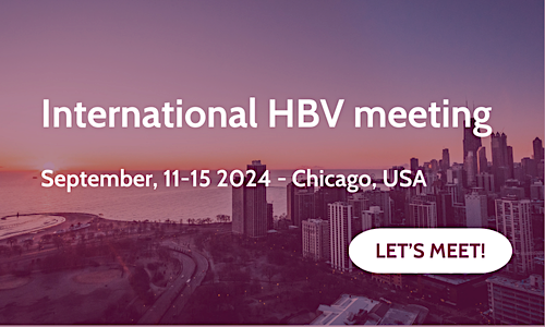 international hbv meeting